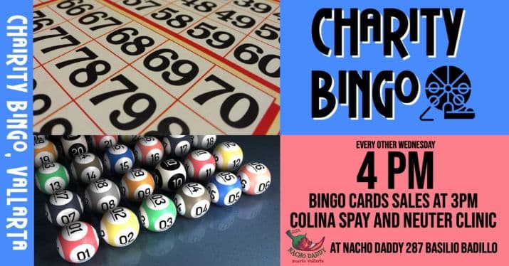 Official Charity Bingo banner for Nacho Daddy in the Romantic Zone