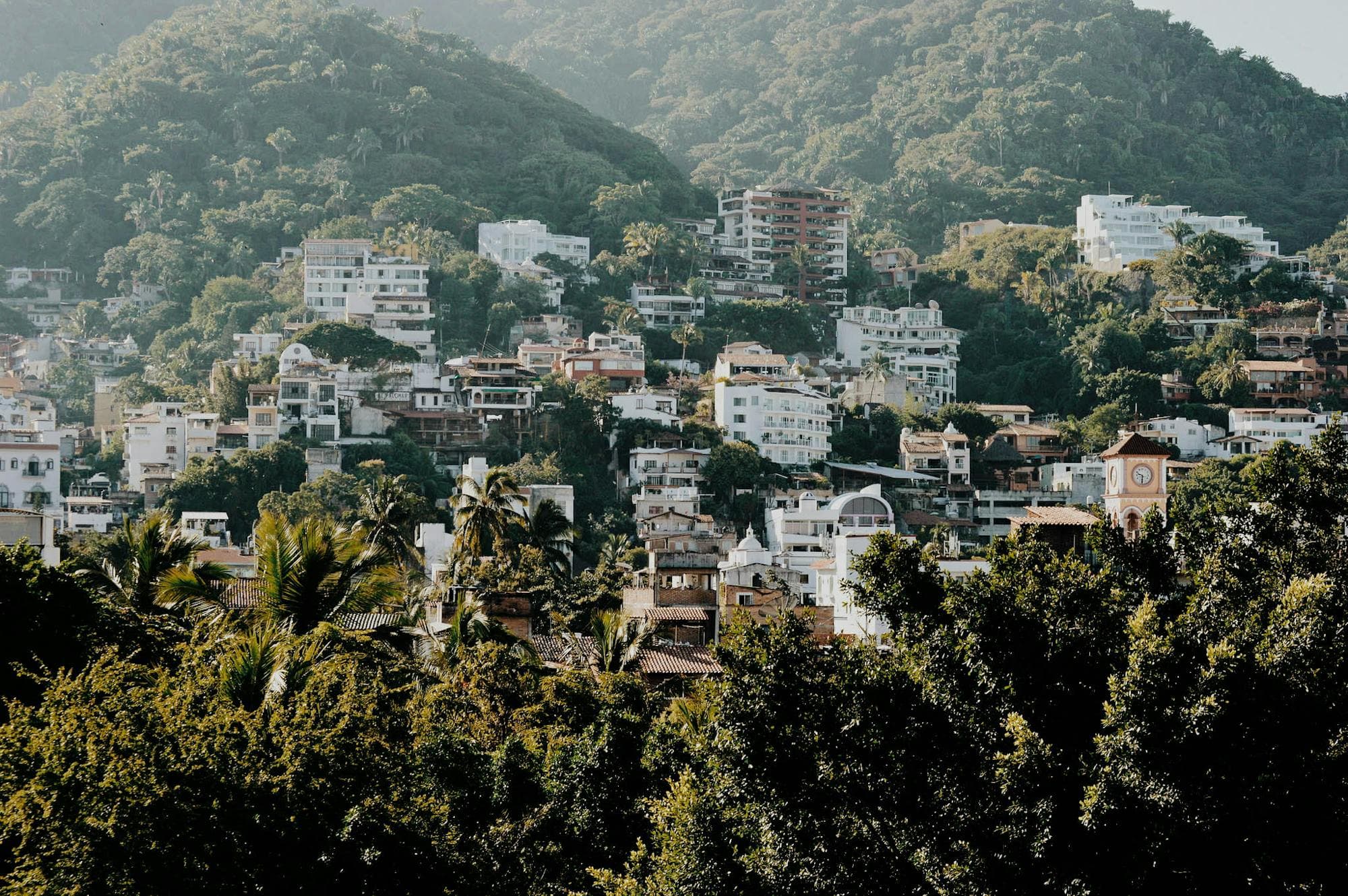 Houses set into a lush green Puerto Vallarta hillside