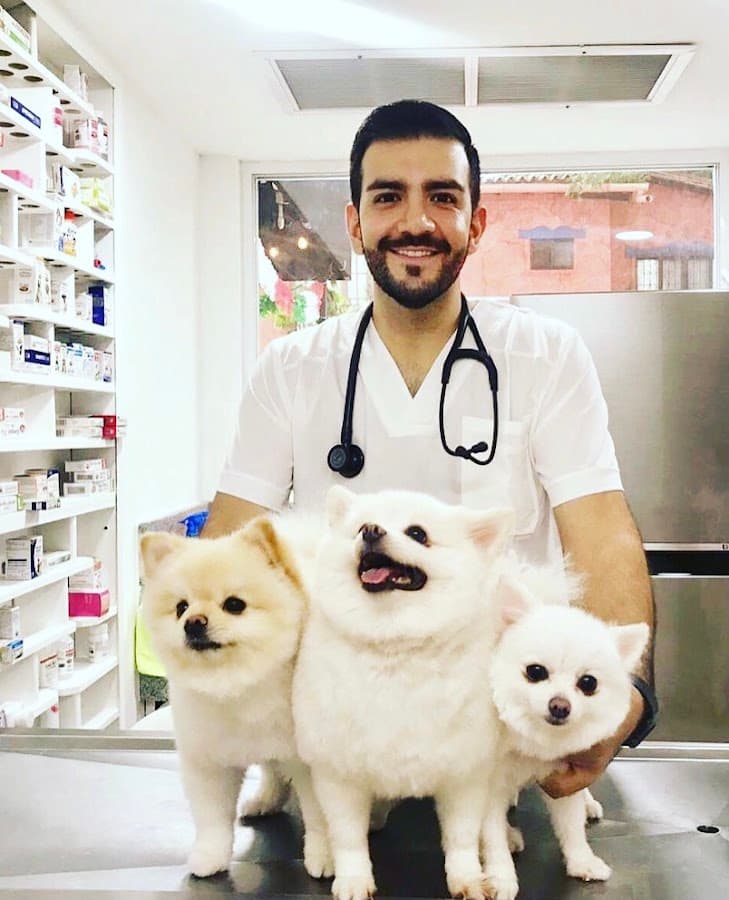 Clinica Veterinaria Olas Altas