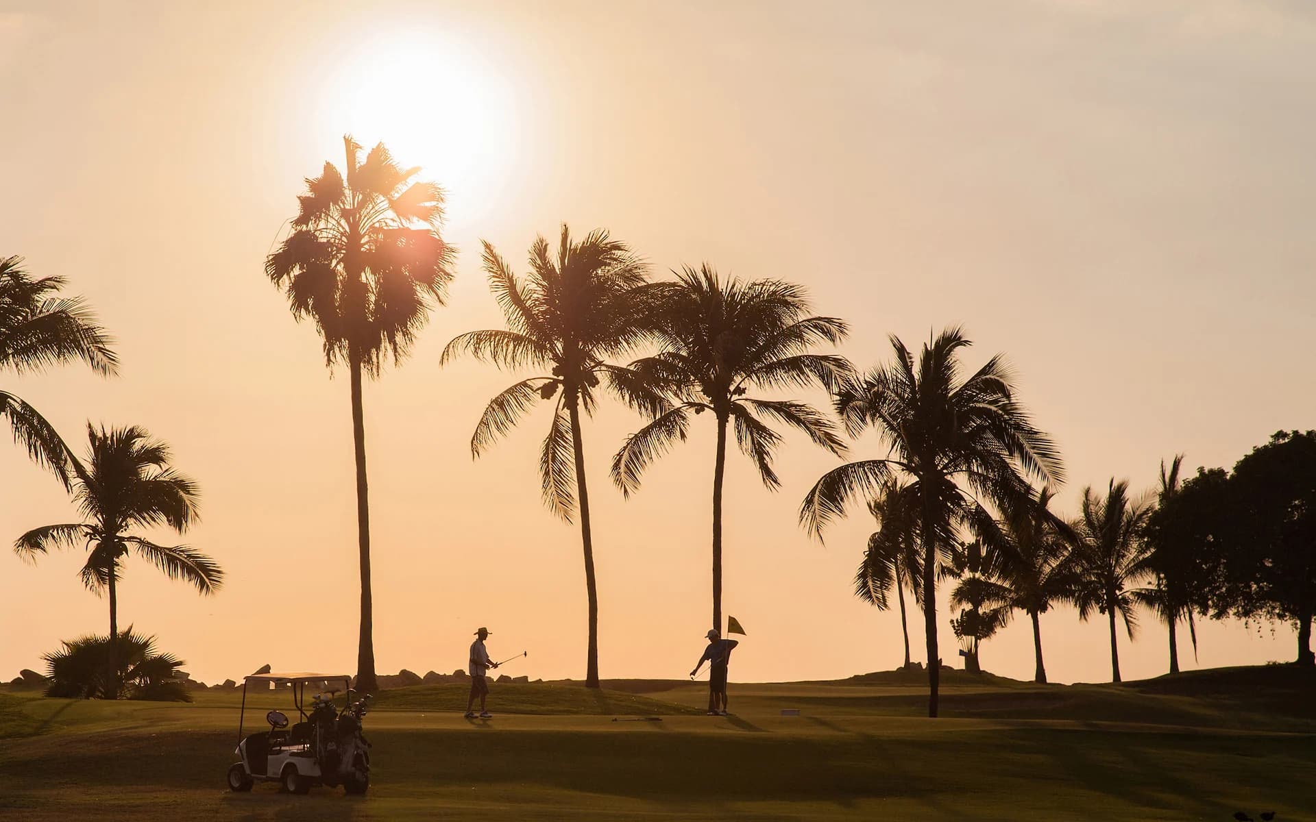 Marina Vallarta Club de Golf
