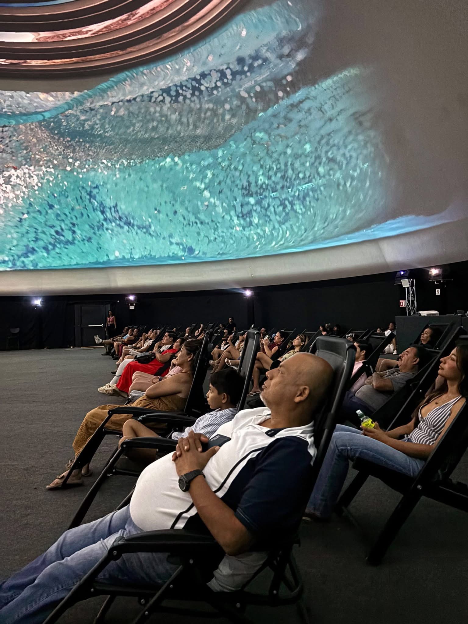 Every visit is an opportunity to discover something new in the Domosphere