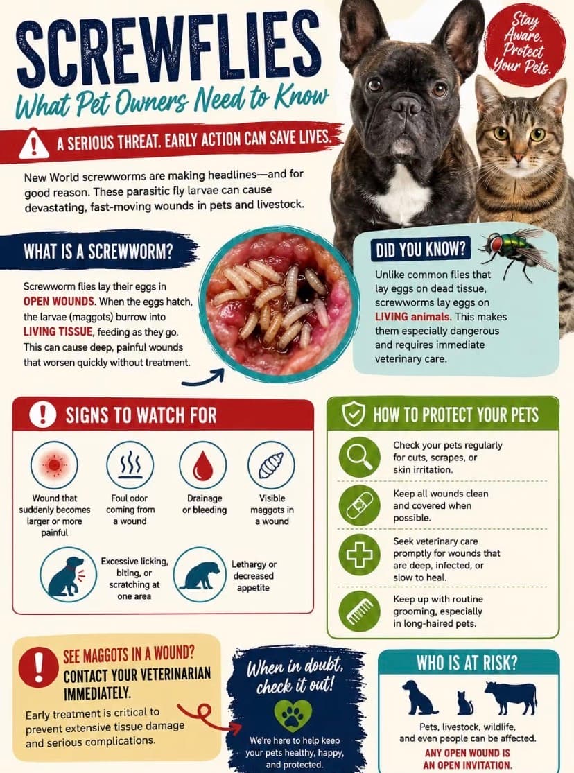 New Travel & Animal Import Rules Between the U.S. and Mexico Due to New World Screwworm