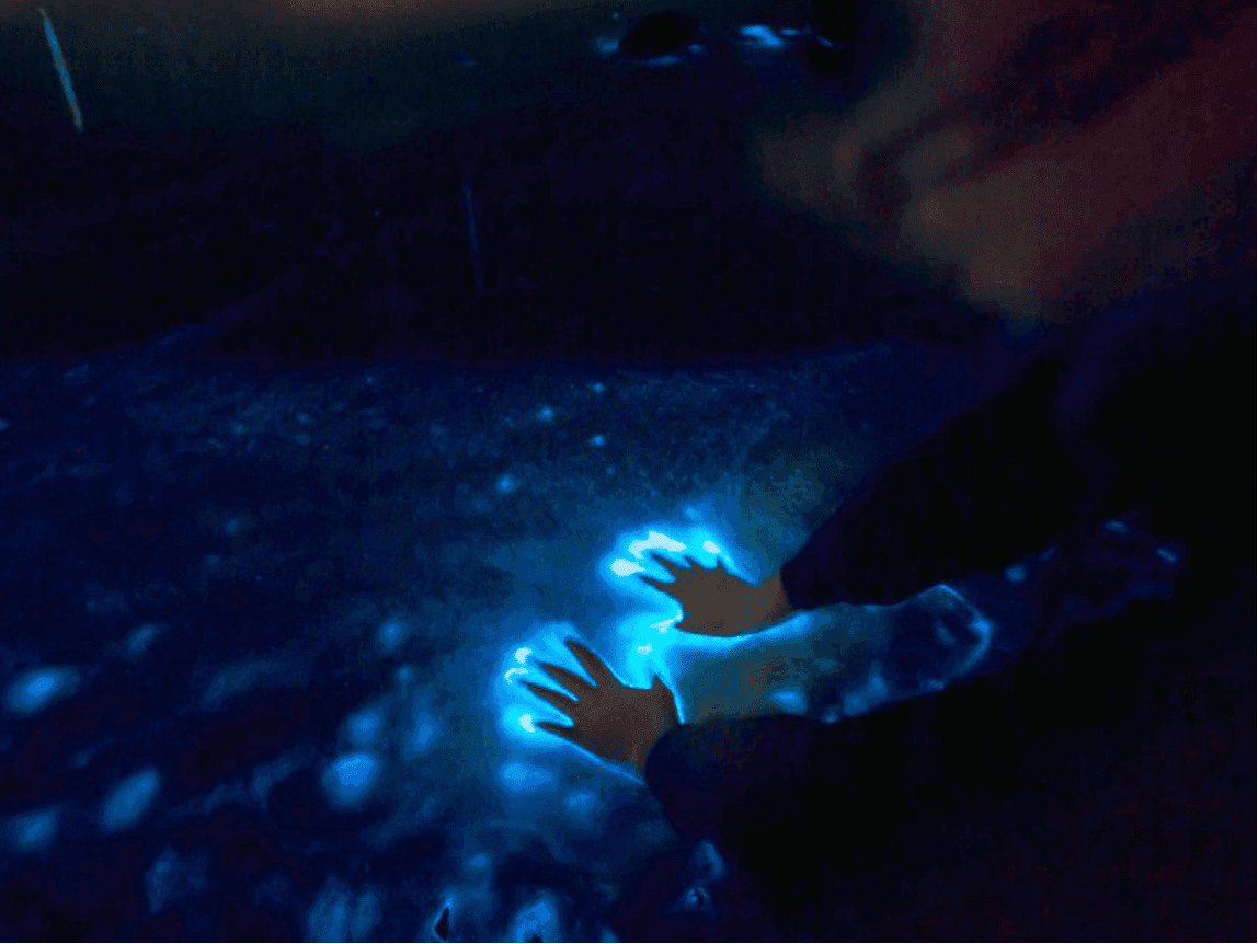 Sunset Boat Tour and Bioluminescence on the Los Arcos Islands