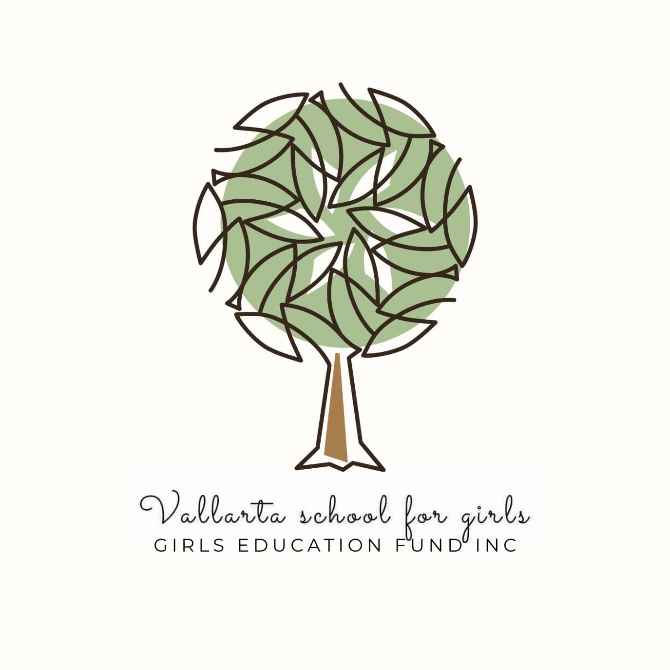 Vallarta school for girls